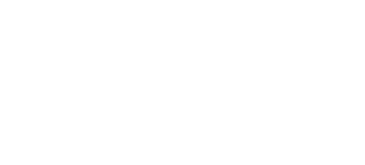 Alee Services